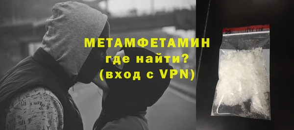 индика Сосновоборск